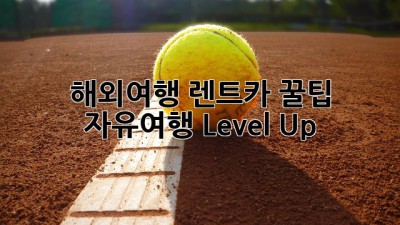 해외여행 렌트카 꿀팁🍯 자유여행 Level Up!