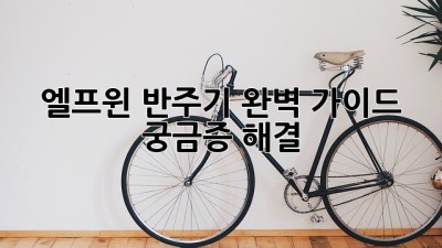 엘프윈 반주기 완벽 가이드: 궁금증 해결!